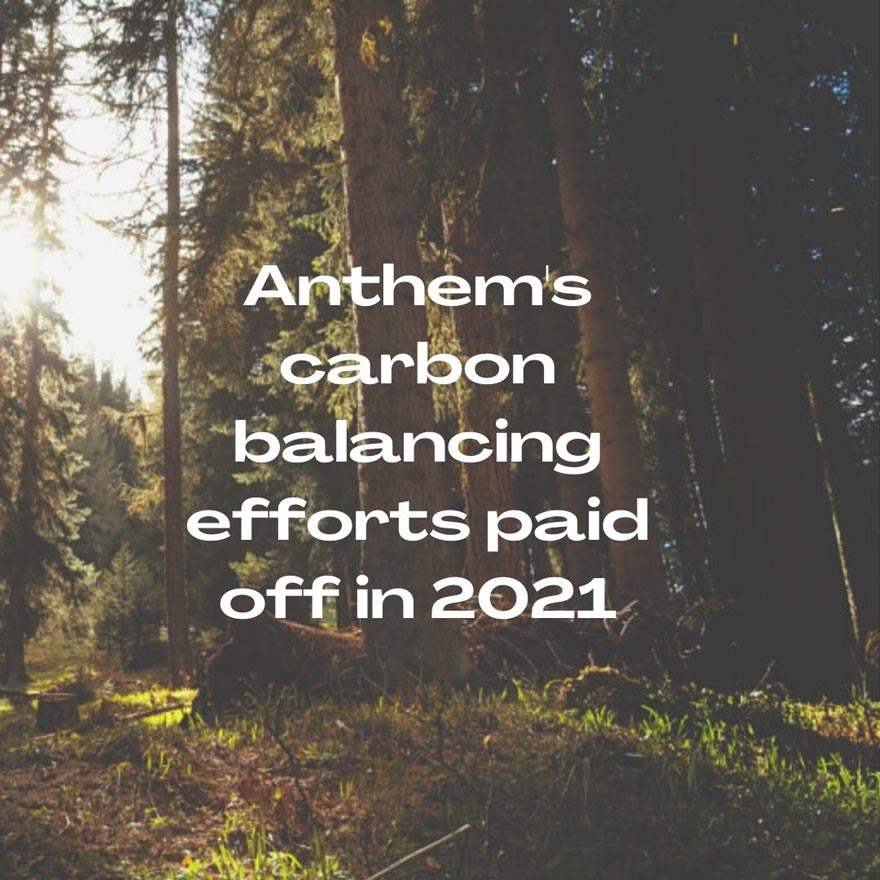 Anthem's swap to Carbon Balanced Paper saves critical forests